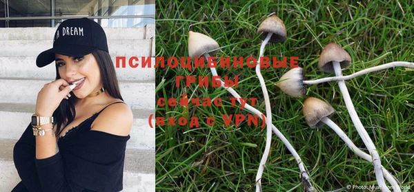 марки nbome Осинники